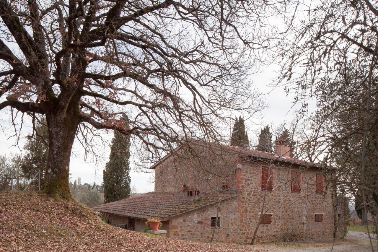 Podere Villa Rosa - Ferienwohnung