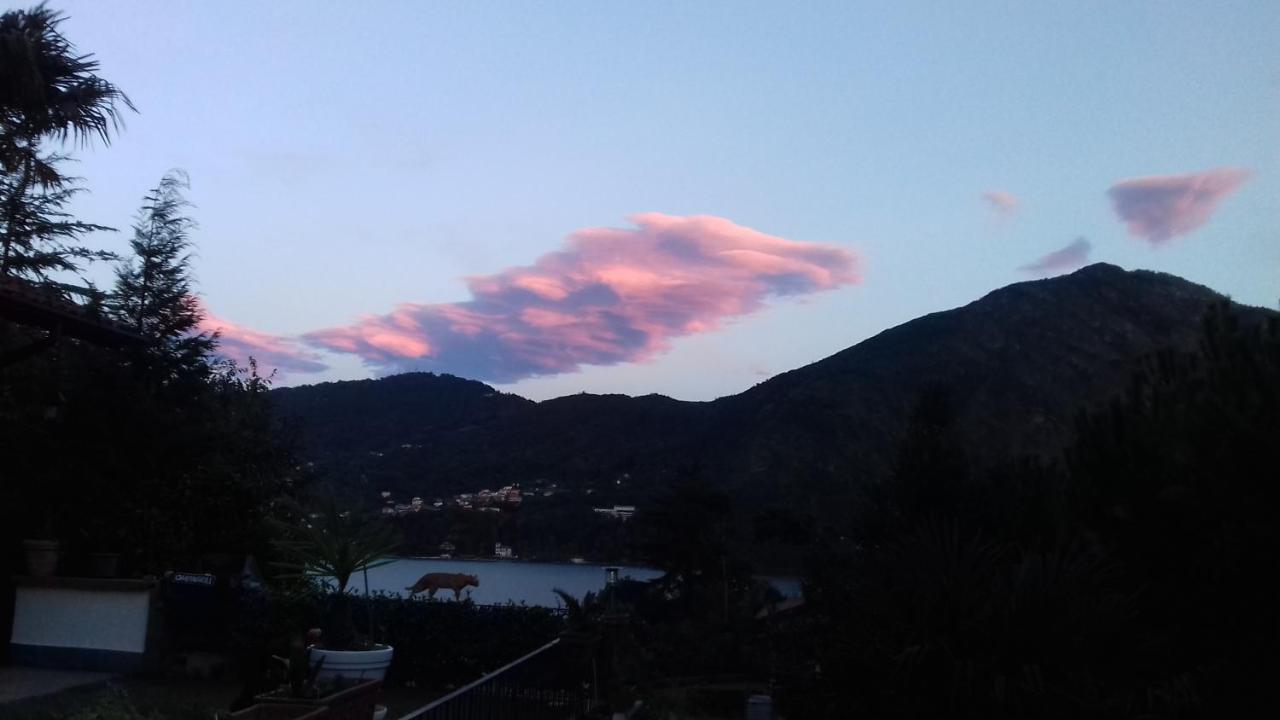 B&B Selve di Rogaro - B&B