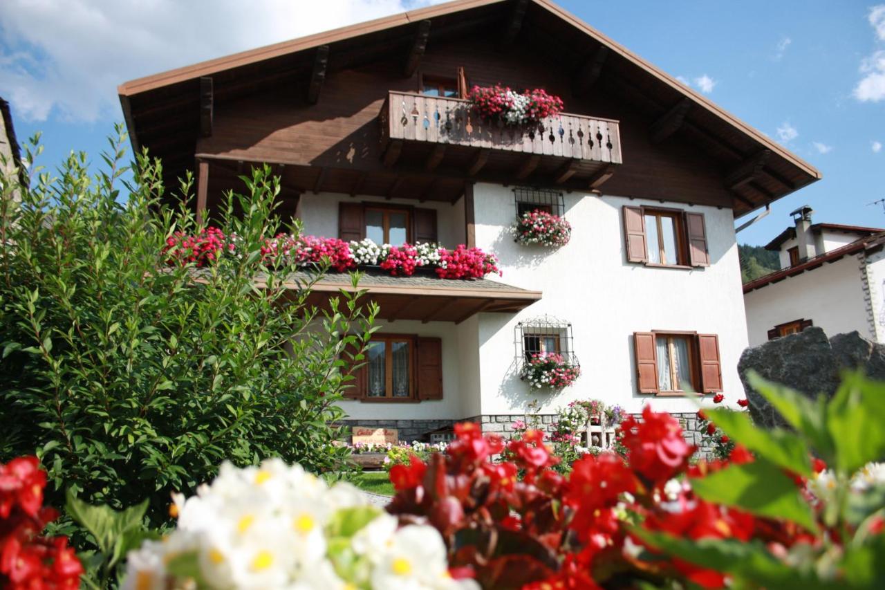 B&B Bormio - Chalet Stelvio - Bed and Breakfast Bormio