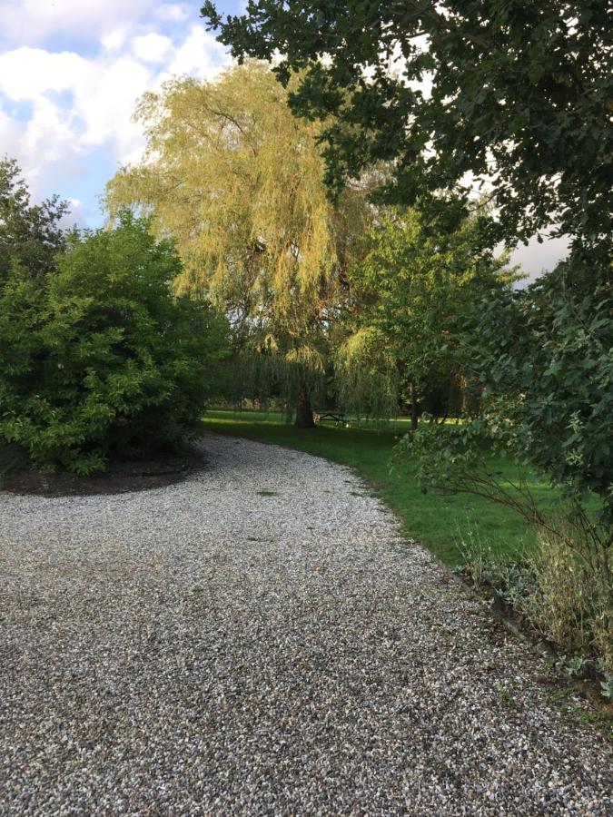 Apartment mit Gartenblick