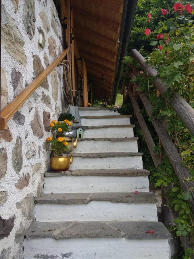 Il Ciliegio - Ferienwohnung
