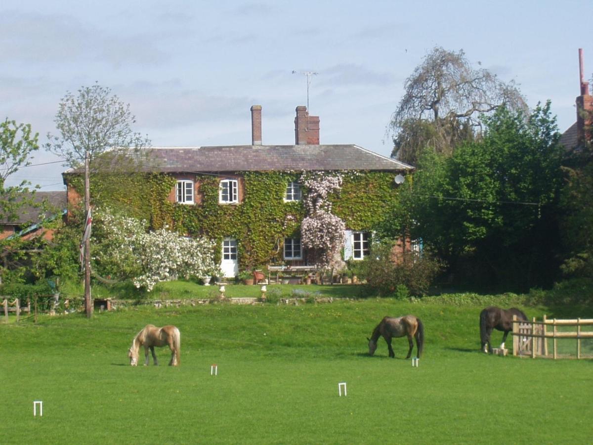 B&B Leintwardine - Lower Buckton Country House - Bed and Breakfast Leintwardine