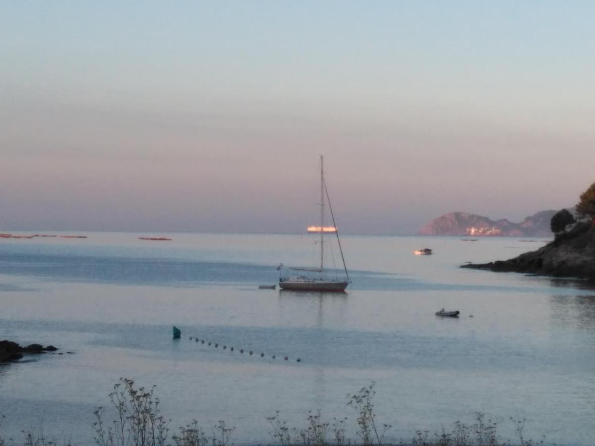 Alfonso XII - B&B Redondela