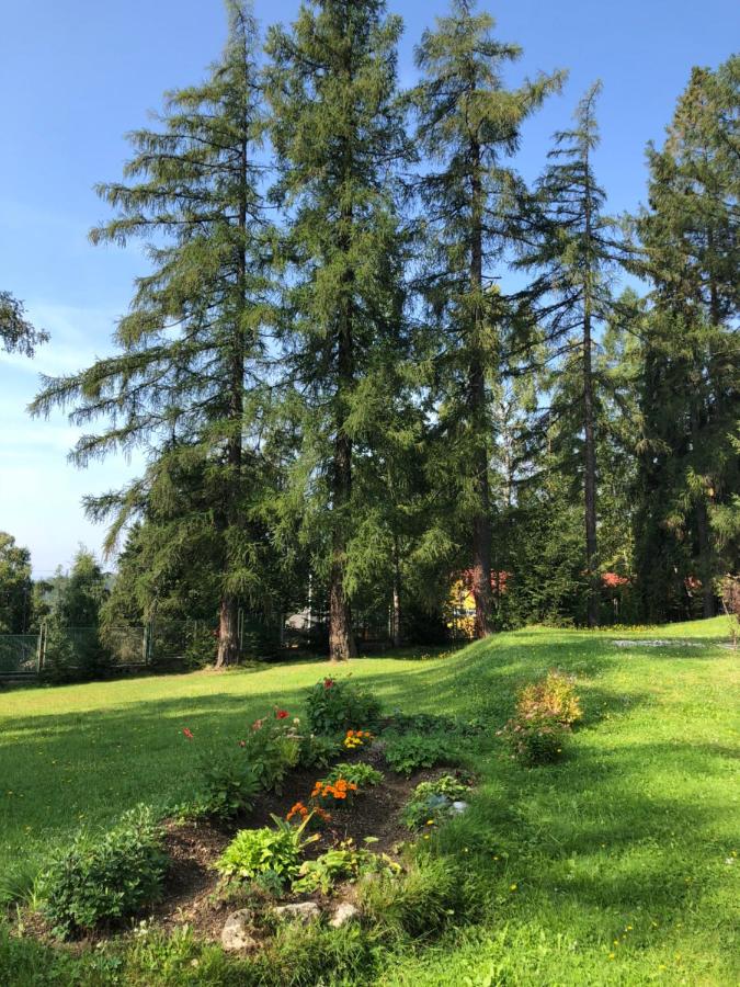 Vila Horec, Vysne Hagy - Bed and Breakfast