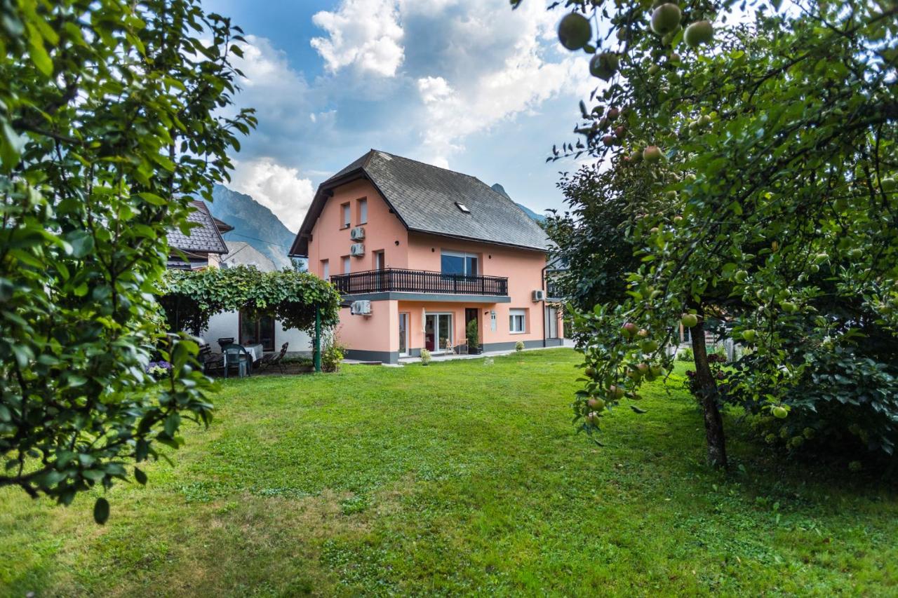 Apartment Japka - B&B