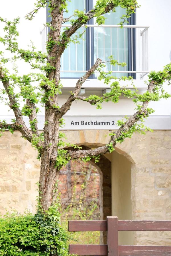Alte Stadtmauer - Apartment - B&B Sinsheim