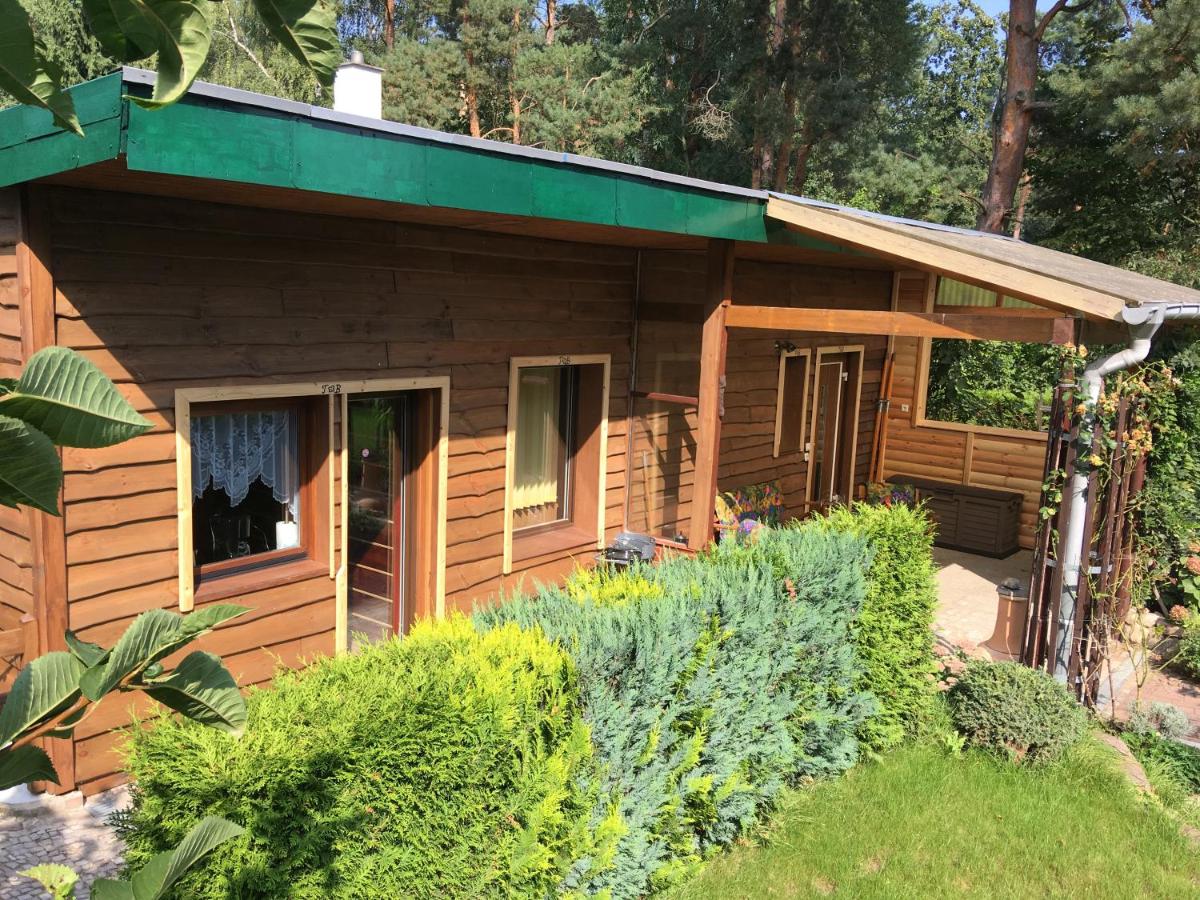 Holzhaus Trollblümchen am Wald und See - Chambres d’hôtes