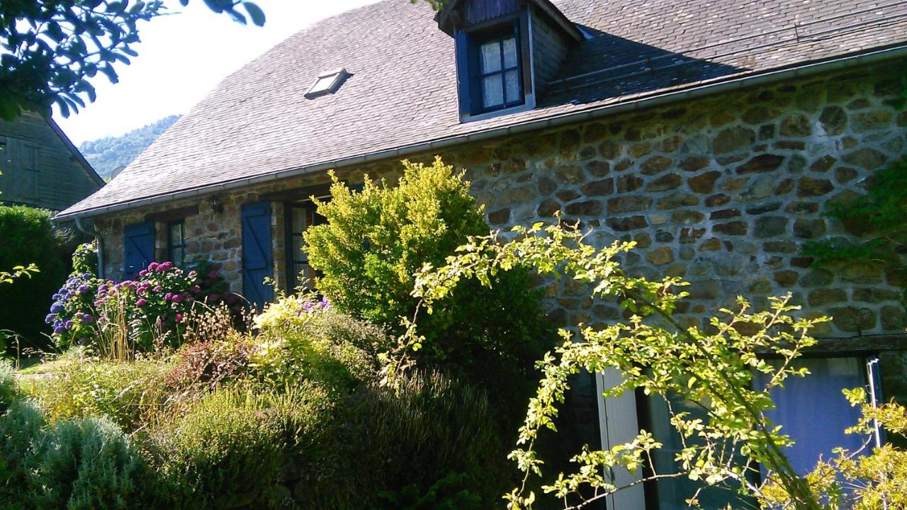 Maison La Luzienne - Lou Astiou - B&B Luz-Saint-Sauveur