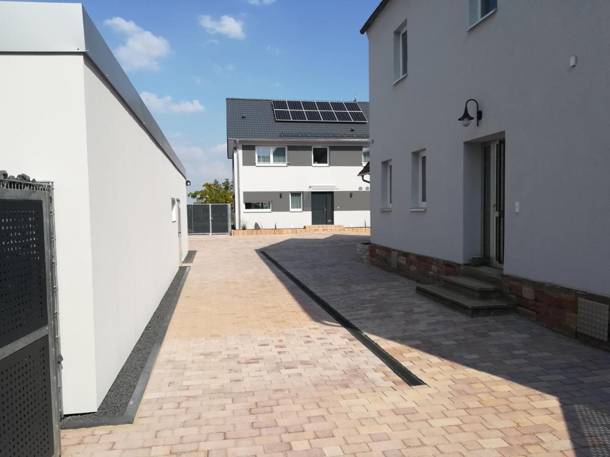 Ferienwohnung Südpfalz - Ferienwohnung Weingarten