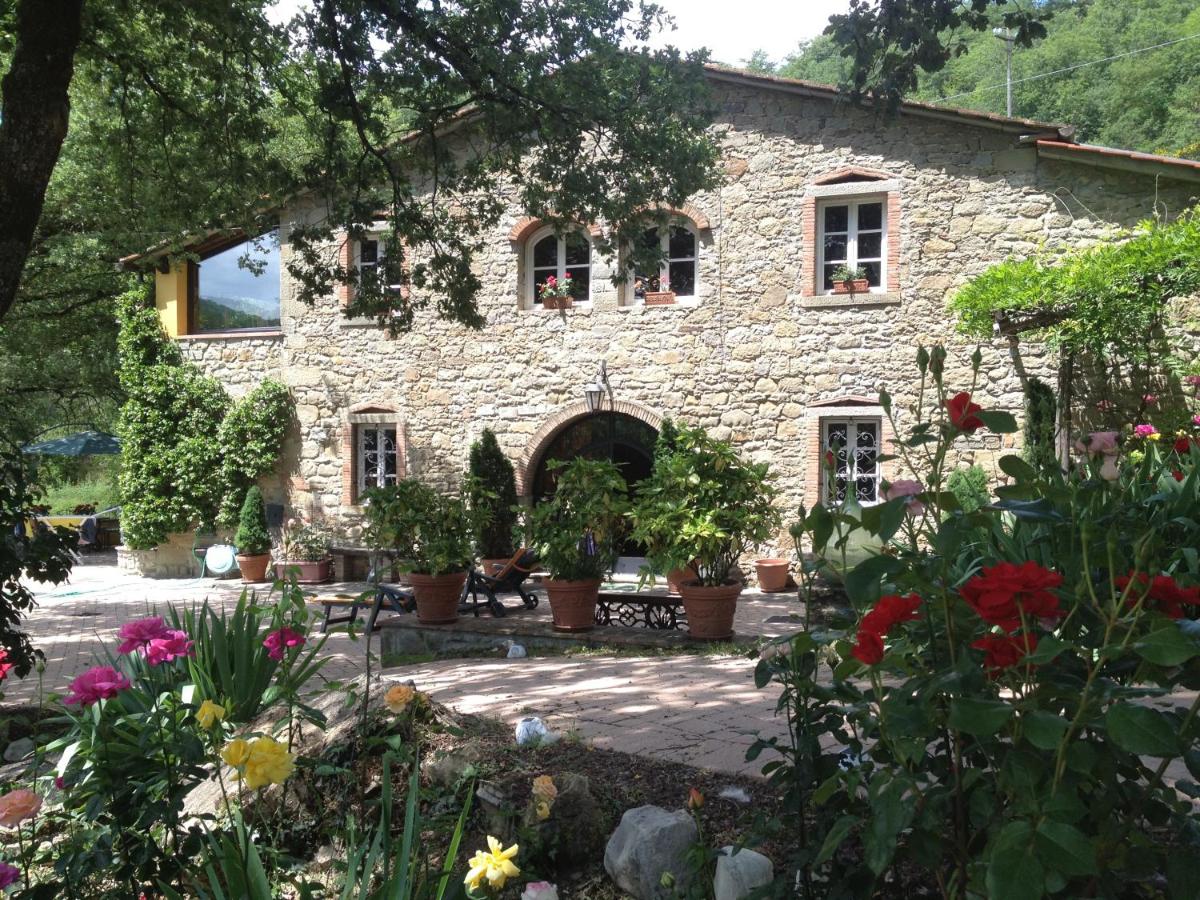 B&B Talla - Agriturismo Fattoria Il Ginepro - Bed and Breakfast Talla