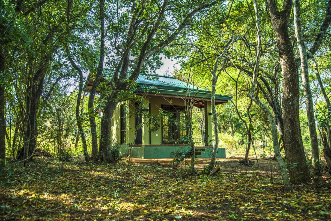 Wadula Safari - Yala - B&B