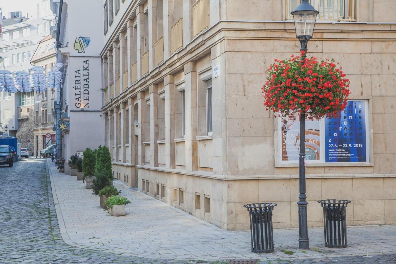 Downtown pedestrian zone apartment - Bed and Breakfast