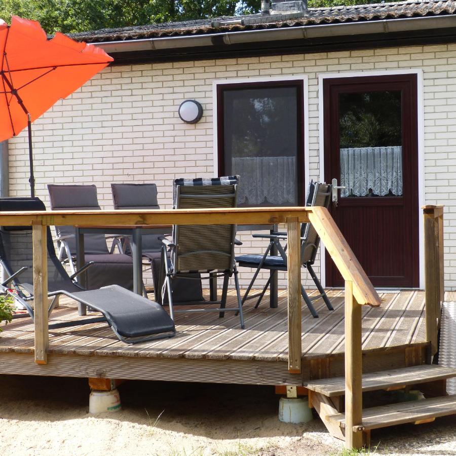 Zur Amsel - B&B