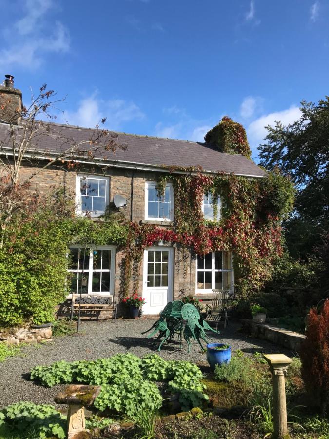 B&B Llanafan-fawr - Pen y Crug Cottage - Bed and Breakfast Llanafan-fawr