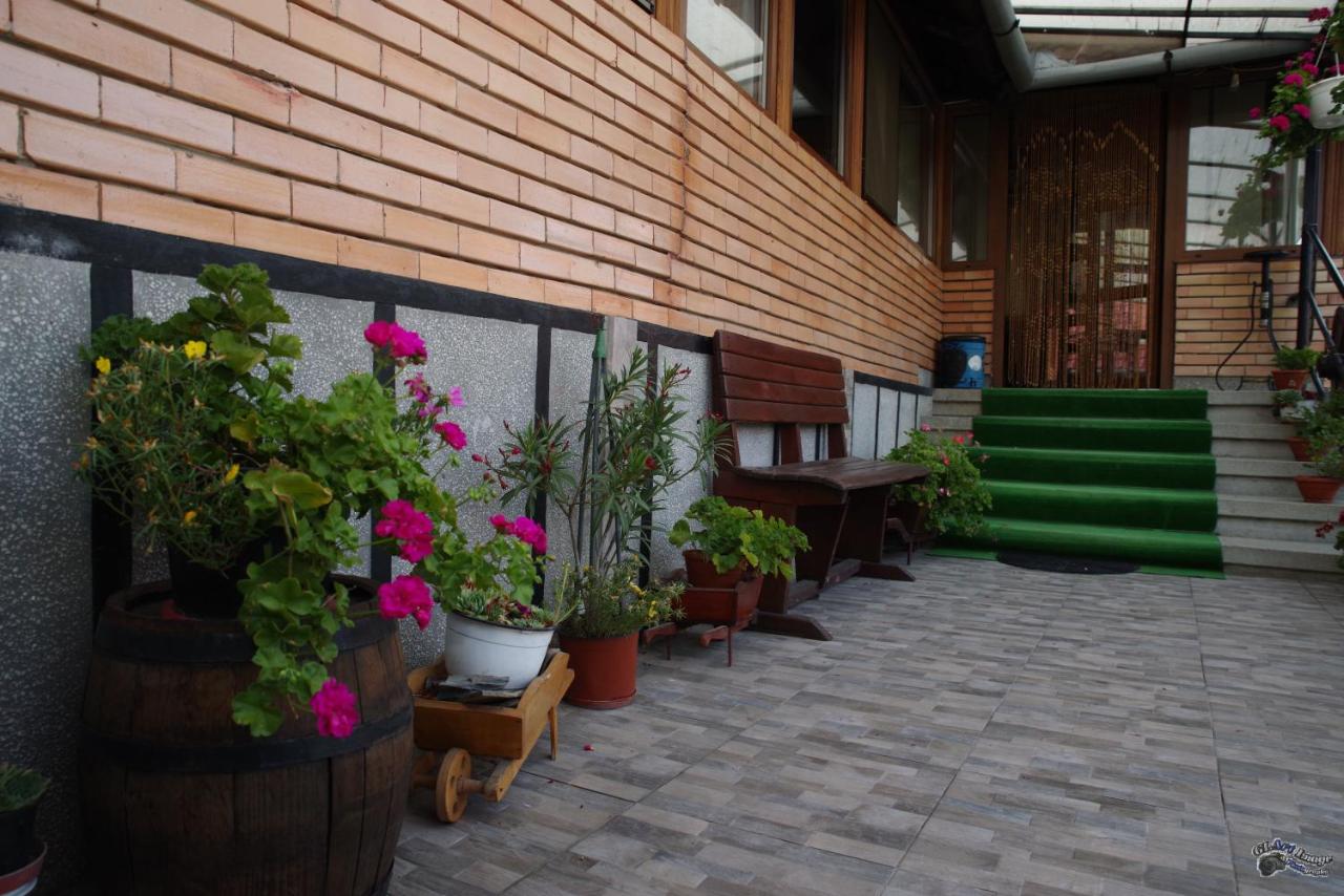 Pensiunea Irina - B&B Brad