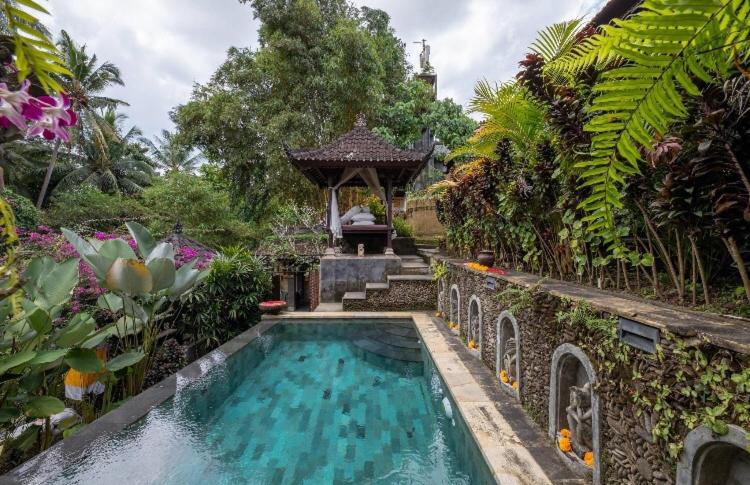 Rumah Kelinci - B&B
