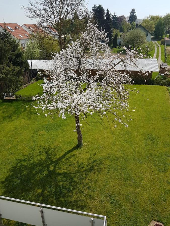 Apartment near Frankfurt, fantastic view! - Bed and Breakfast