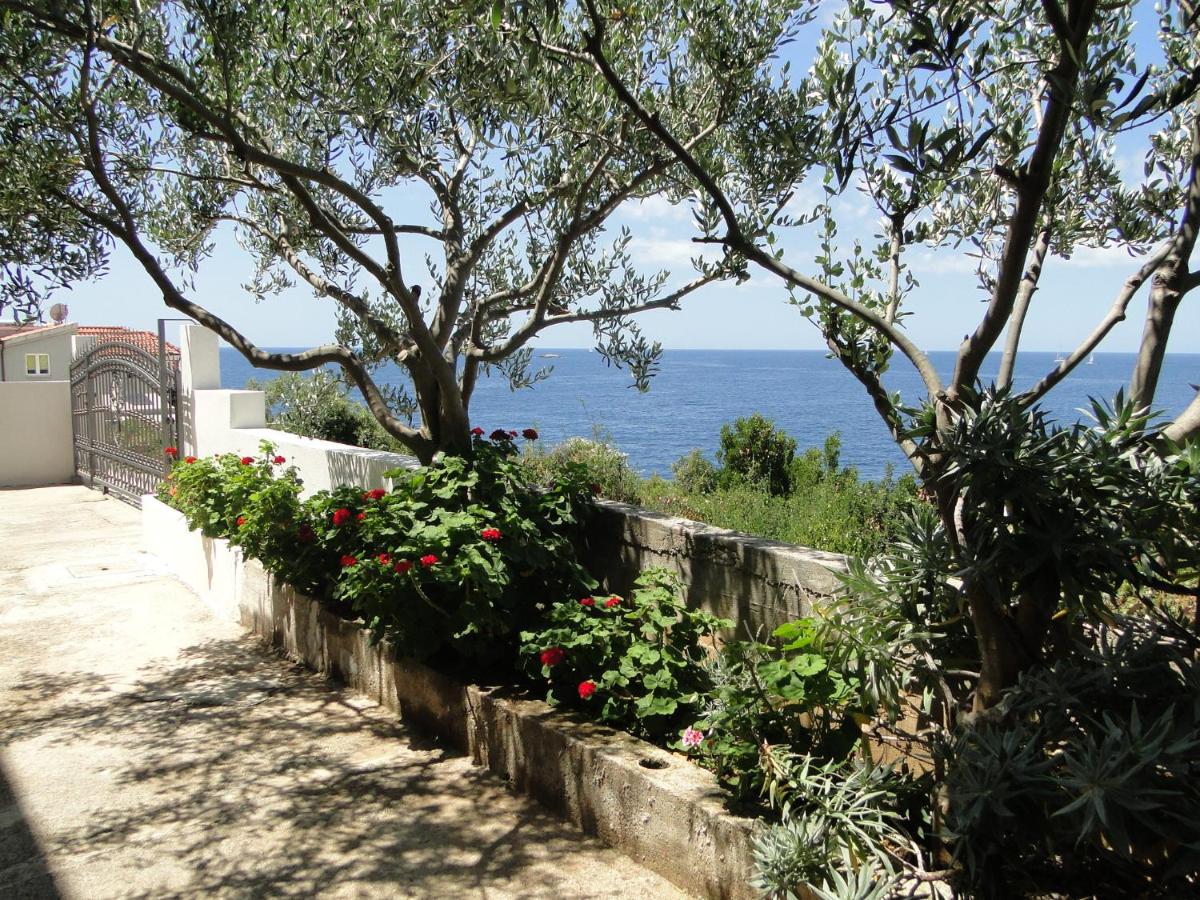 Appartement - Begane Grond