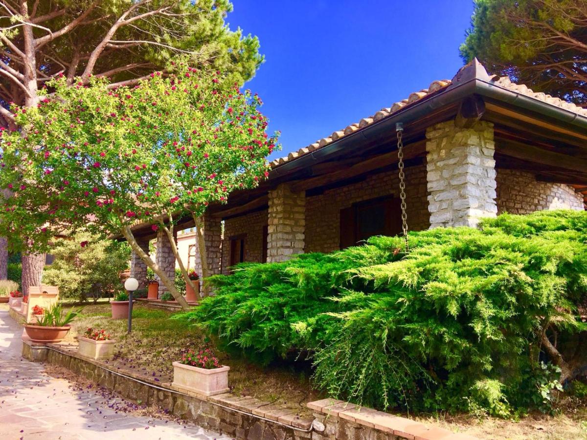 Agriturismo TERRANERA - B&B