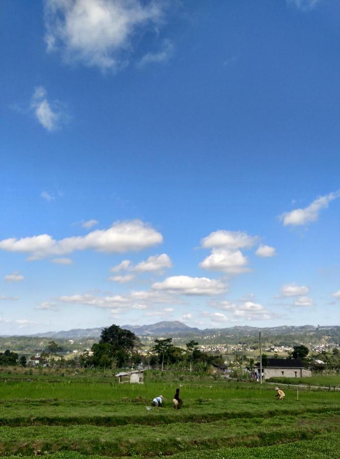 Pondok Bamboo Sendangsari - Chambres d’hôtes Wonosobo