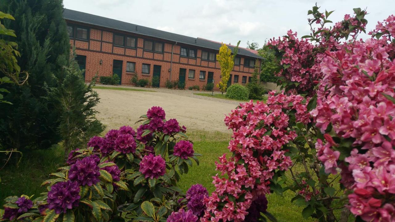 Landferienhof "Müritzufer" - Ferienwohnung