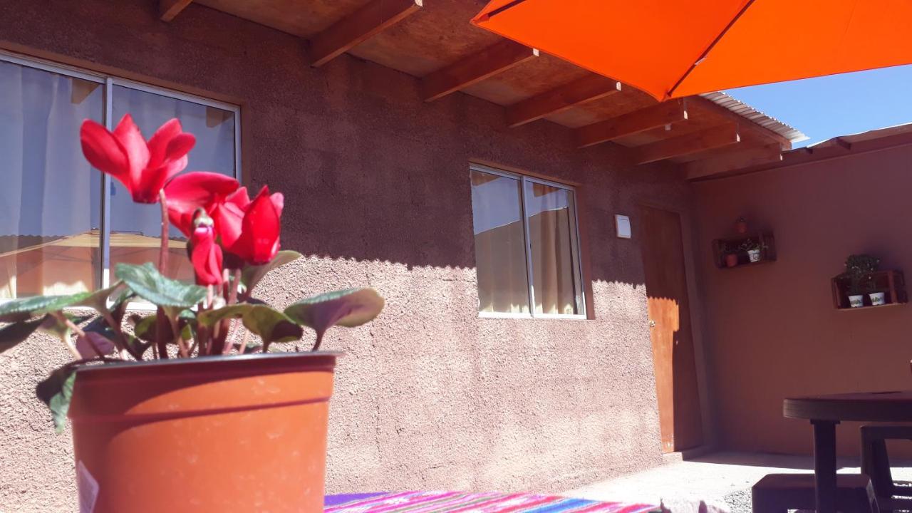 Hostal Open House - B&B