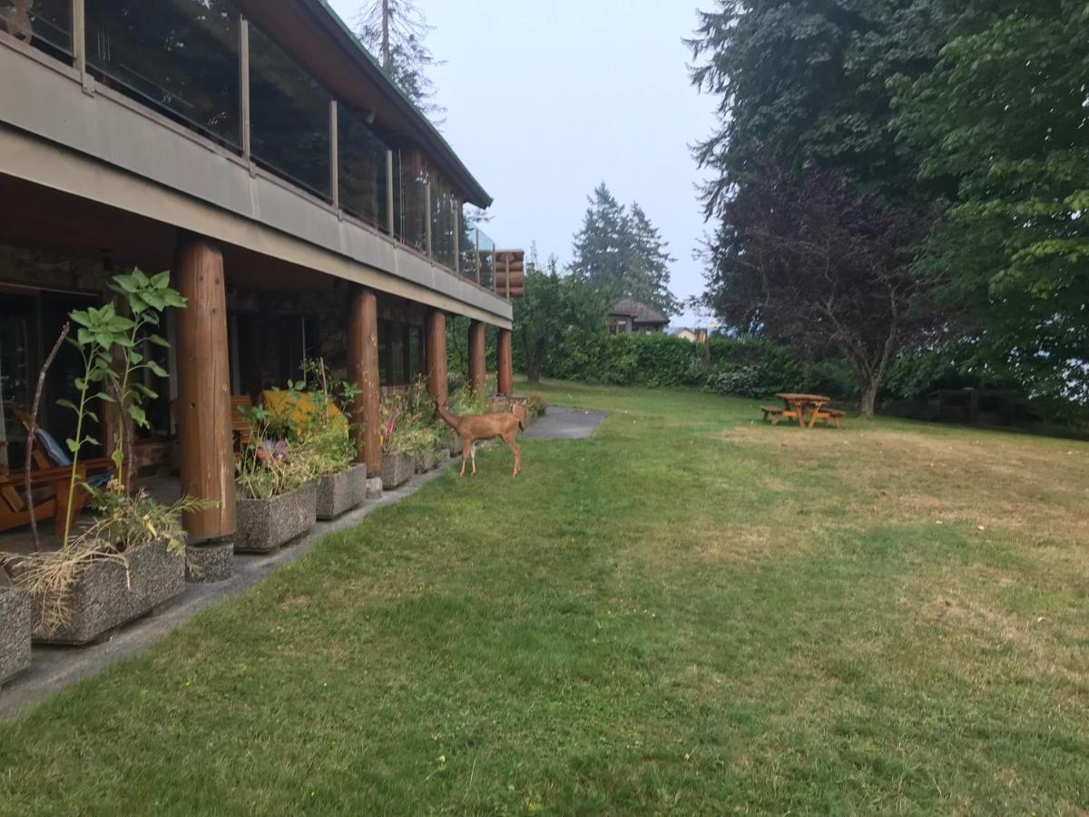 Oceanfront Suite - B&B