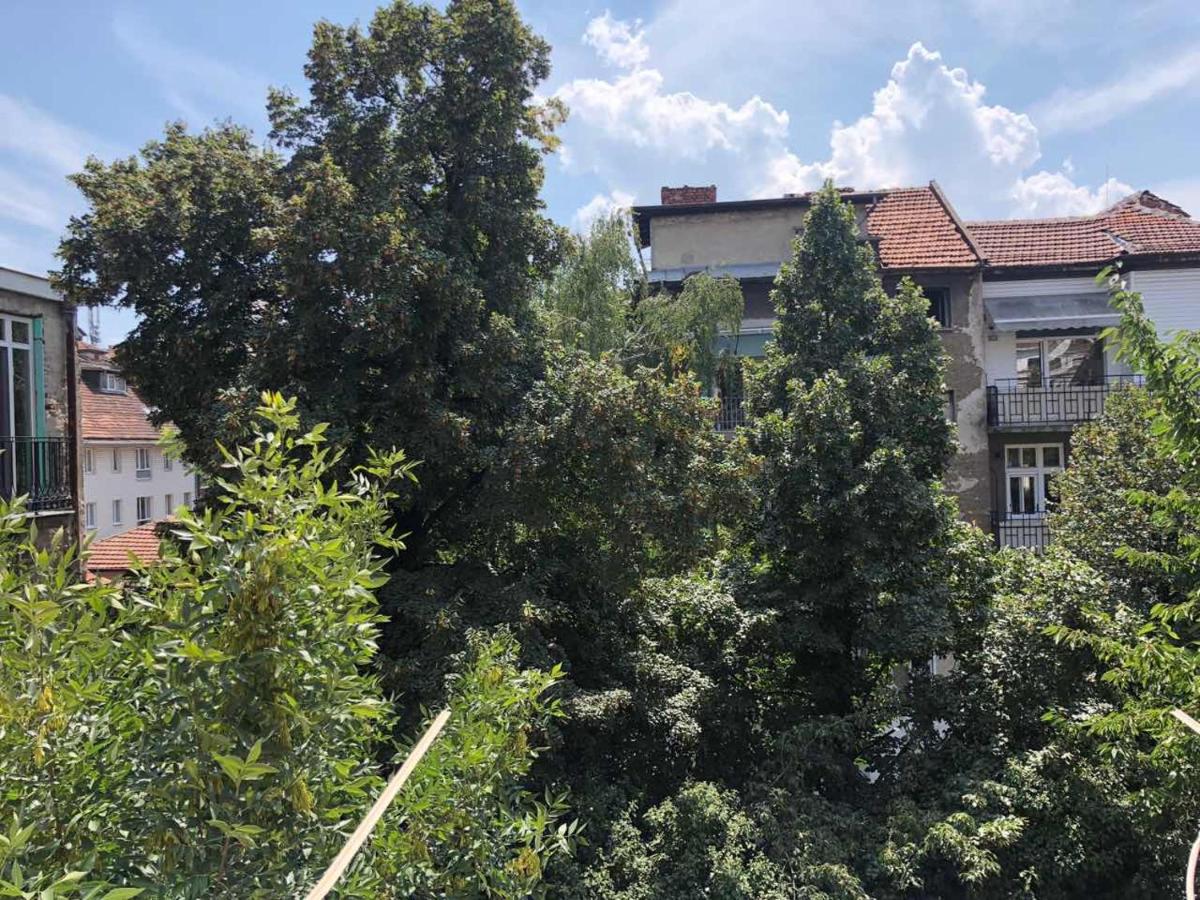 Top Center Apartment 7 - Bed and Breakfast Sofia