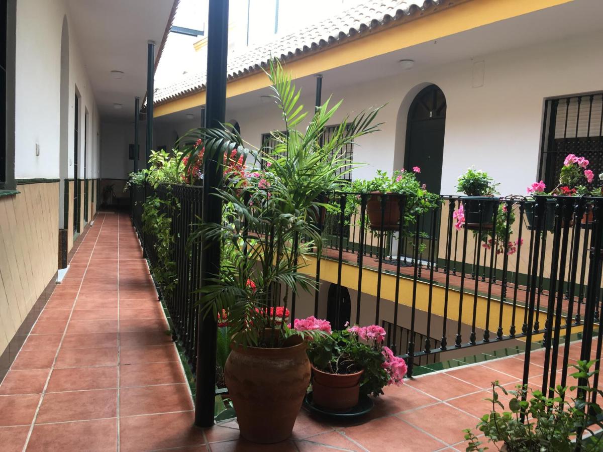 Cosy Apartment with Terrace in the Centre of Seville - Chambres d'hôtes Séville