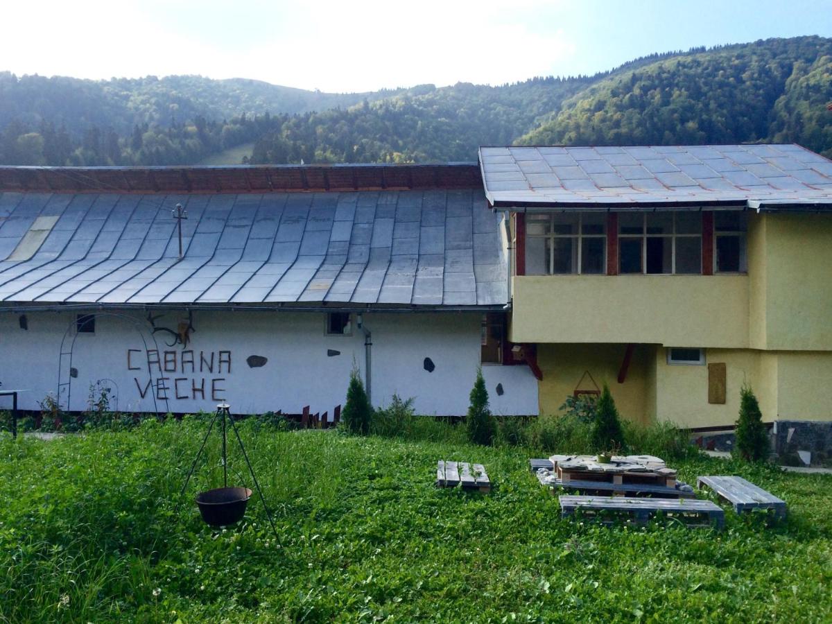 Chalet Azuga - Chambres d’hôtes Azuga