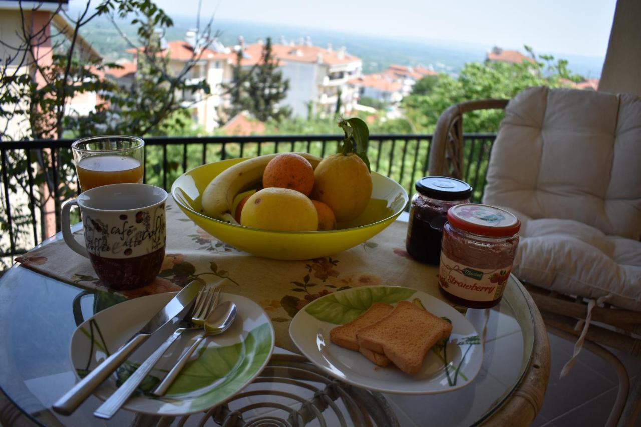 B&B Vergina - Small apartment, great view! - Bed and Breakfast Vergina