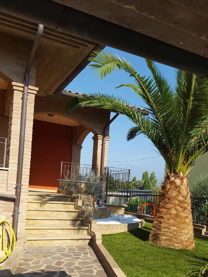 Tulipano Appartamenti - B&B Marotta