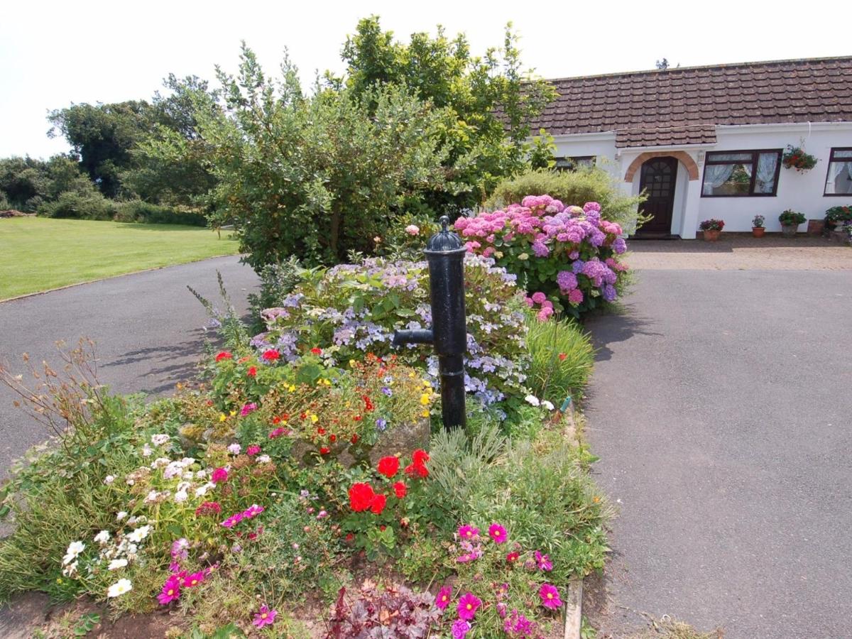 B&B Dawlish - Little Waycroft - Bed and Breakfast Dawlish