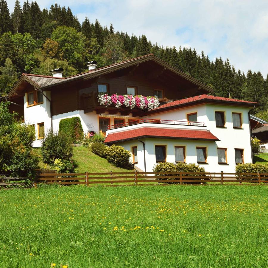 Ferienhaus Steger Maria - Ferienwohnung