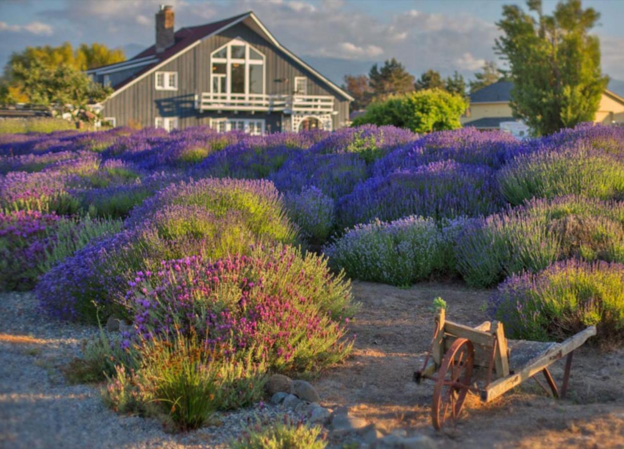 B&B Sequim - Dungeness Barn House at Two Crows Farm - Bed and Breakfast Sequim