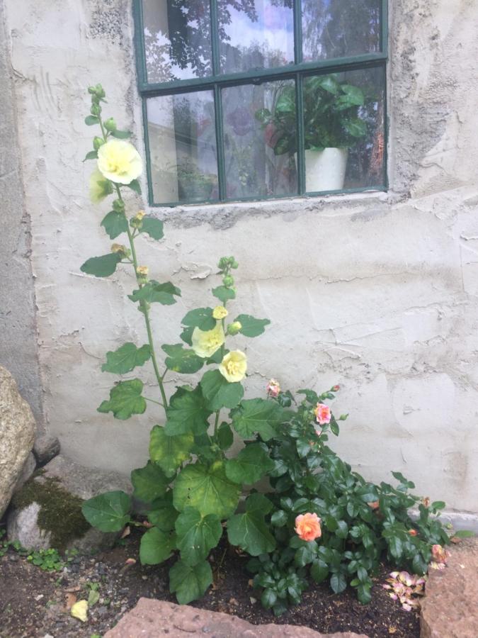 The Old Henhouse - B&B Tollarp