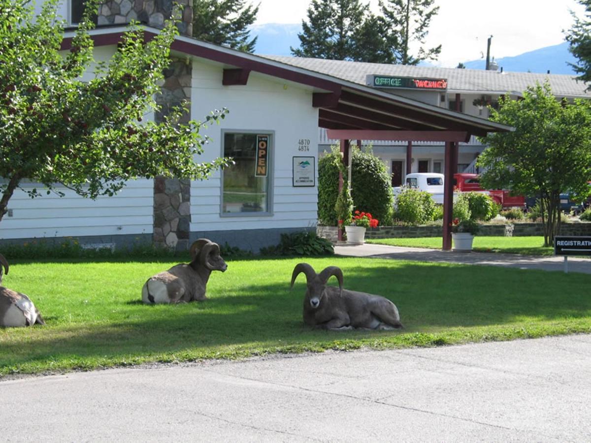 B&B Radium Hot Springs - Mountain Springs Motel - Bed and Breakfast Radium Hot Springs