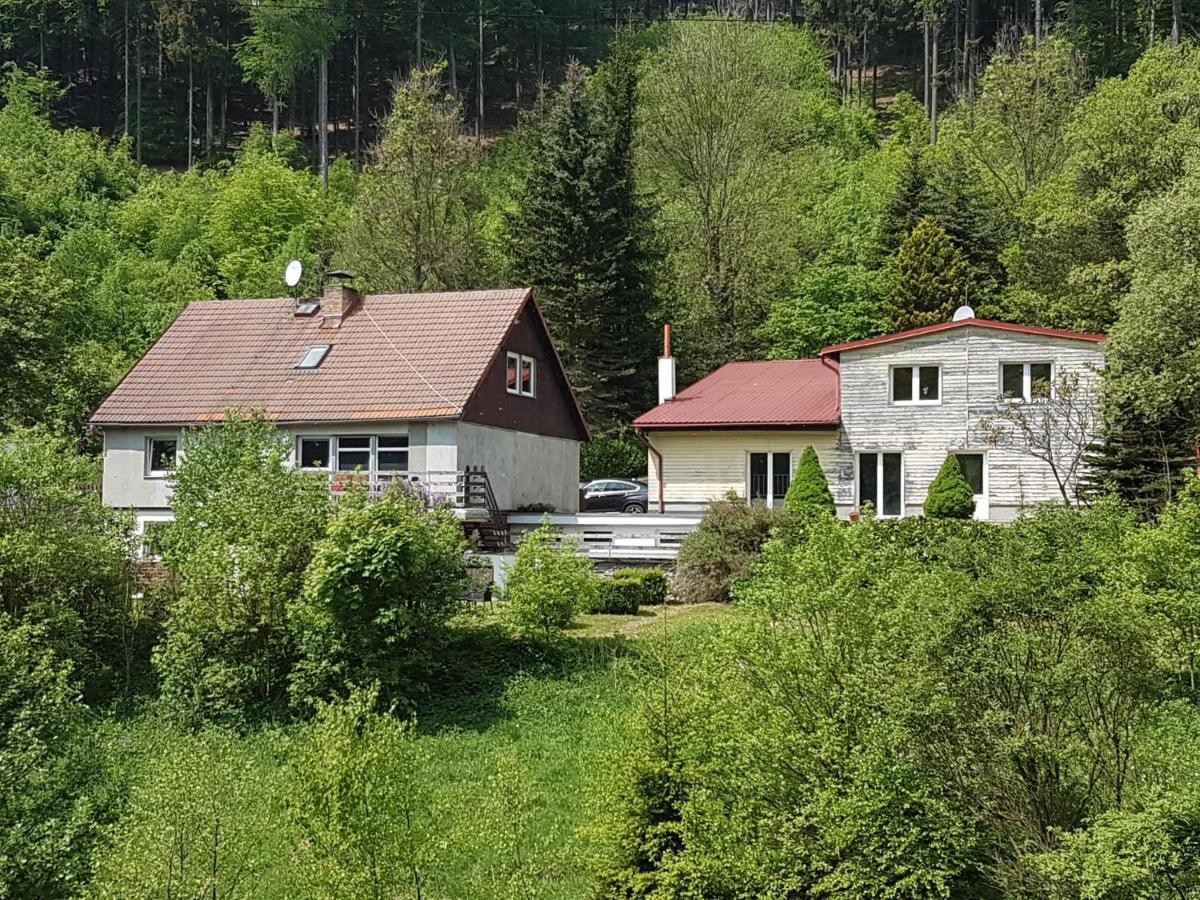 Waldhaus - Ferienwohnung