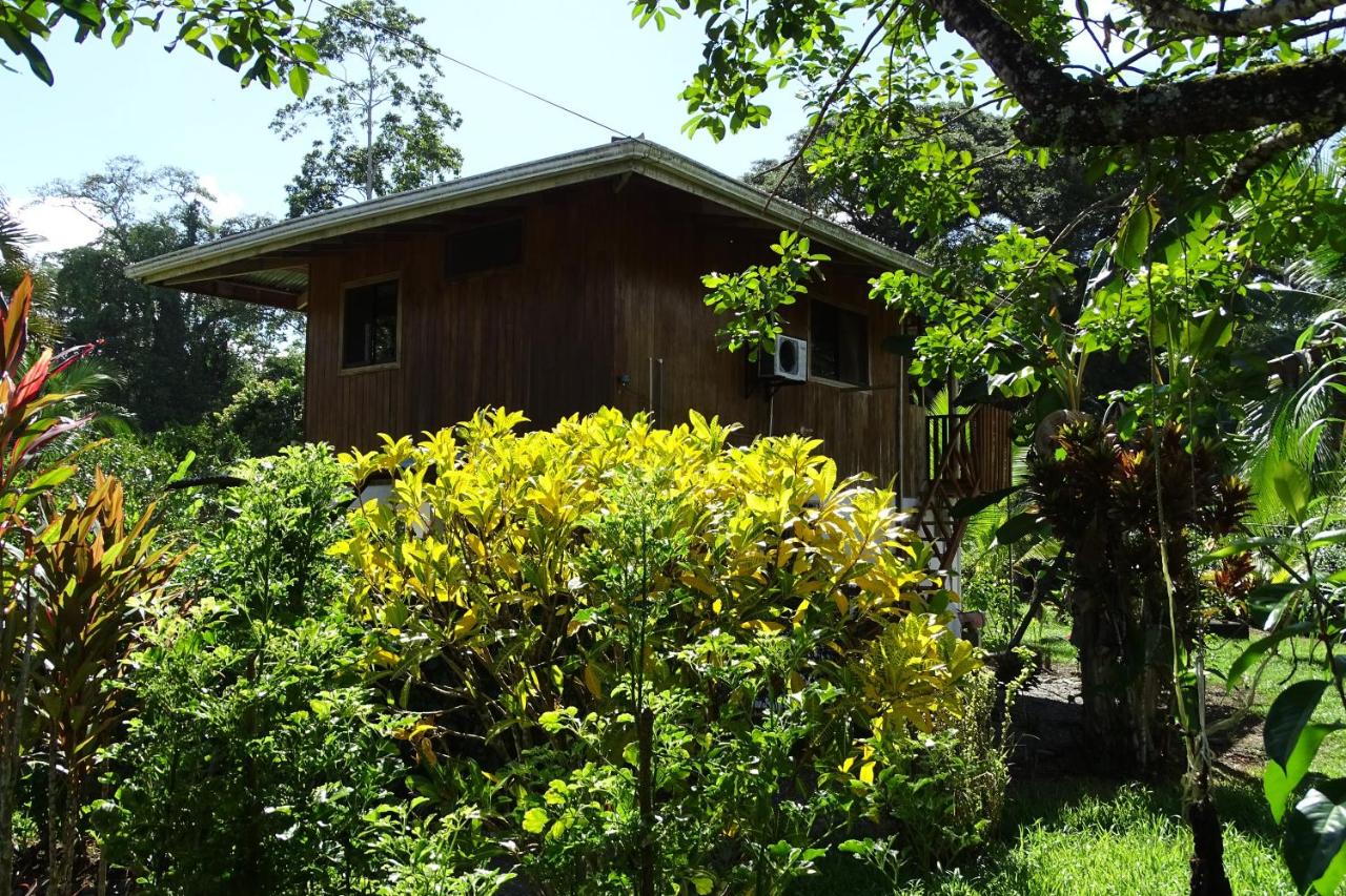 Cabinas Los Tucanes - B&B