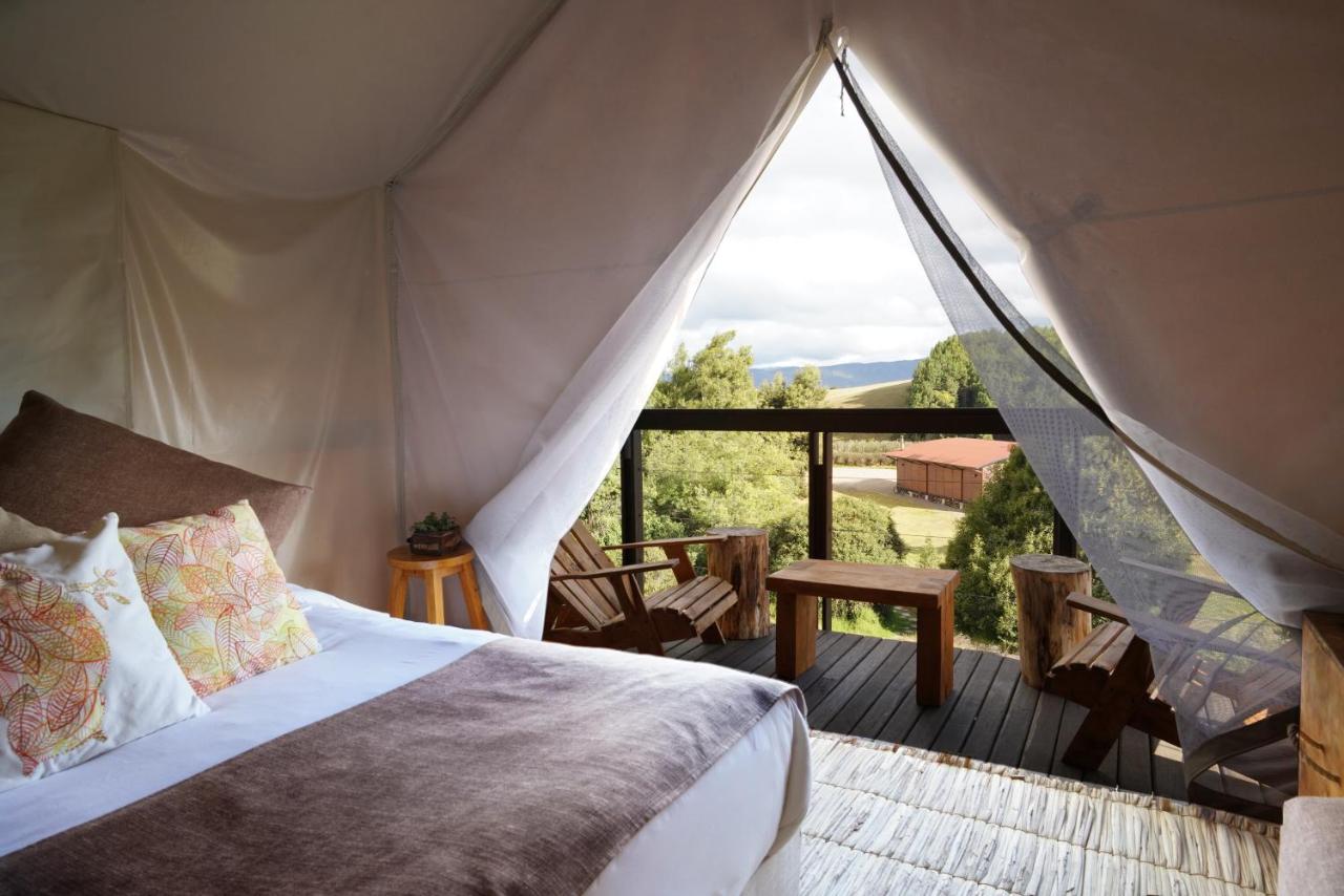 Tent