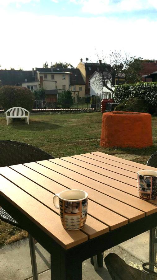 Apartment - Erdgeschoss