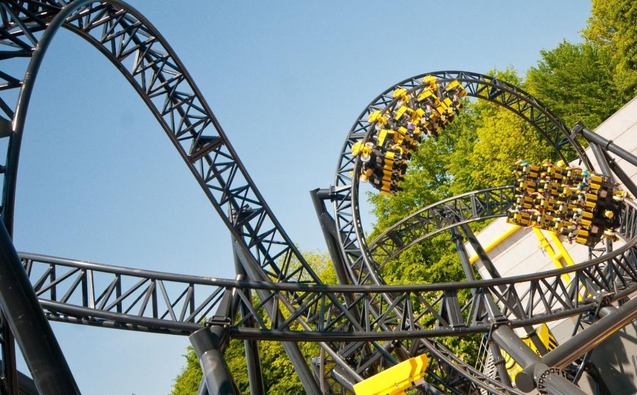 Studio Apartment - Crazy Cow