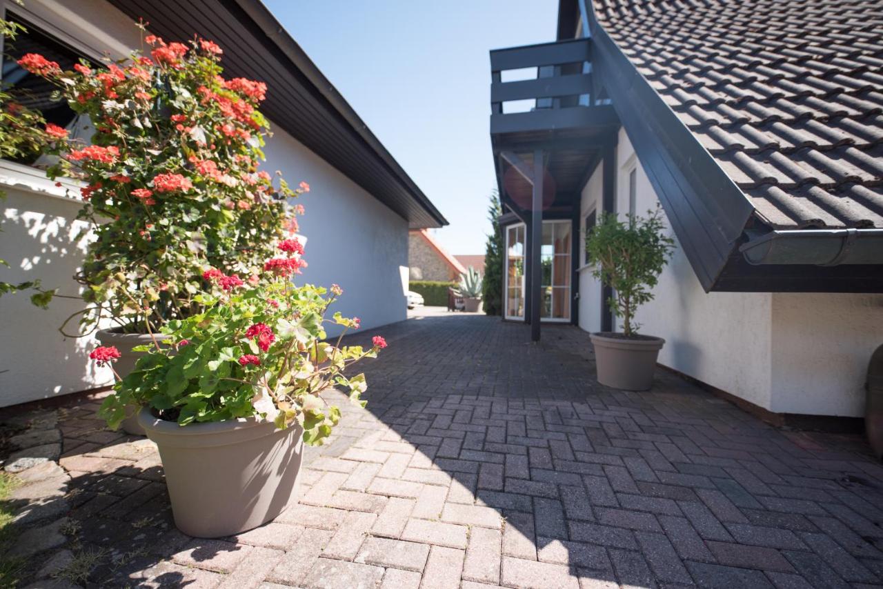 Ferienwohnungen Hofmann - Ferienwohnung Zingst