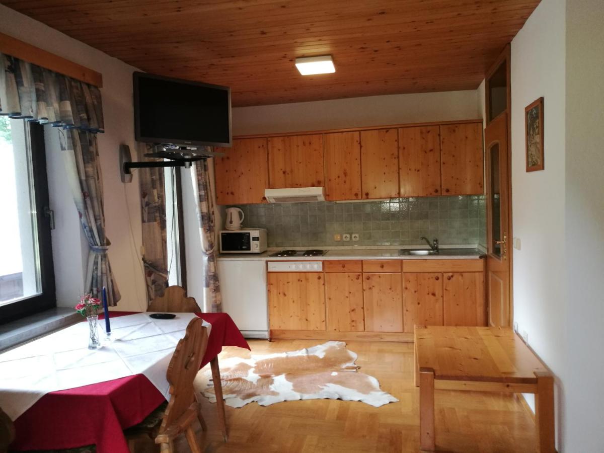 Studio with Mountain View