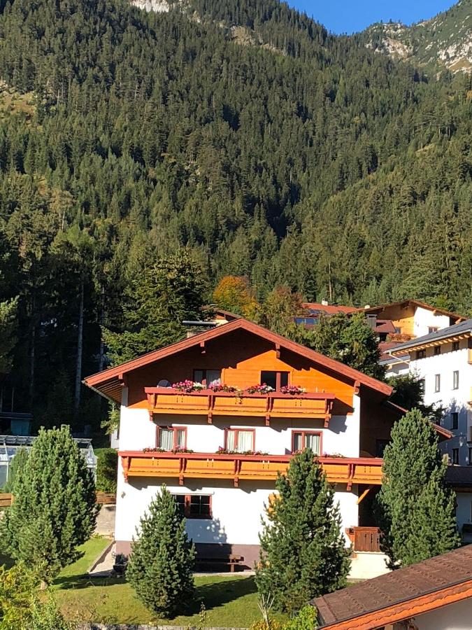 Haus Birkenheim - B&B