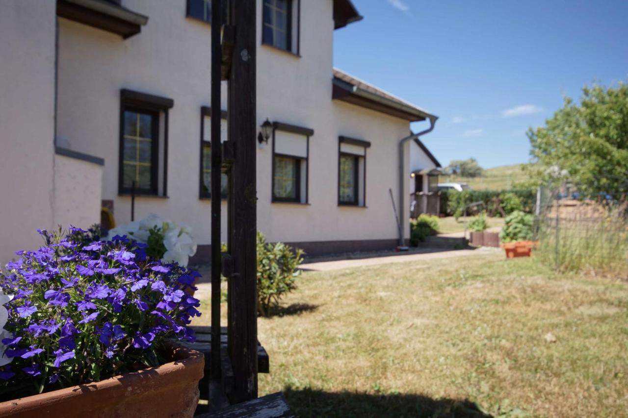 B&B Klein Zicker - Ferienwohnungen beim Fischer und sin Fru - Bed and Breakfast Klein Zicker