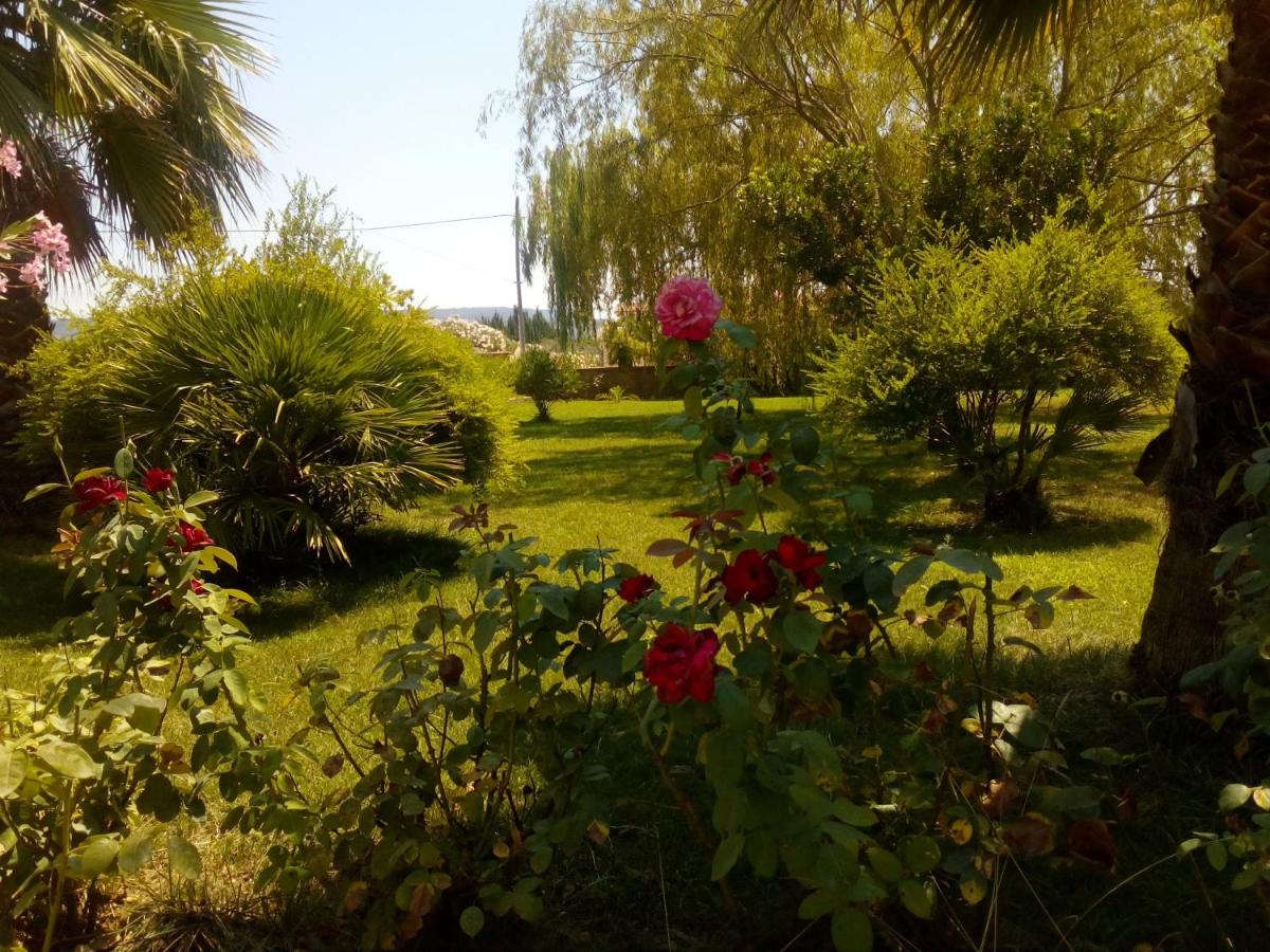 B&B Olmedo - Il Giardino delle Rose A - Bed and Breakfast Olmedo