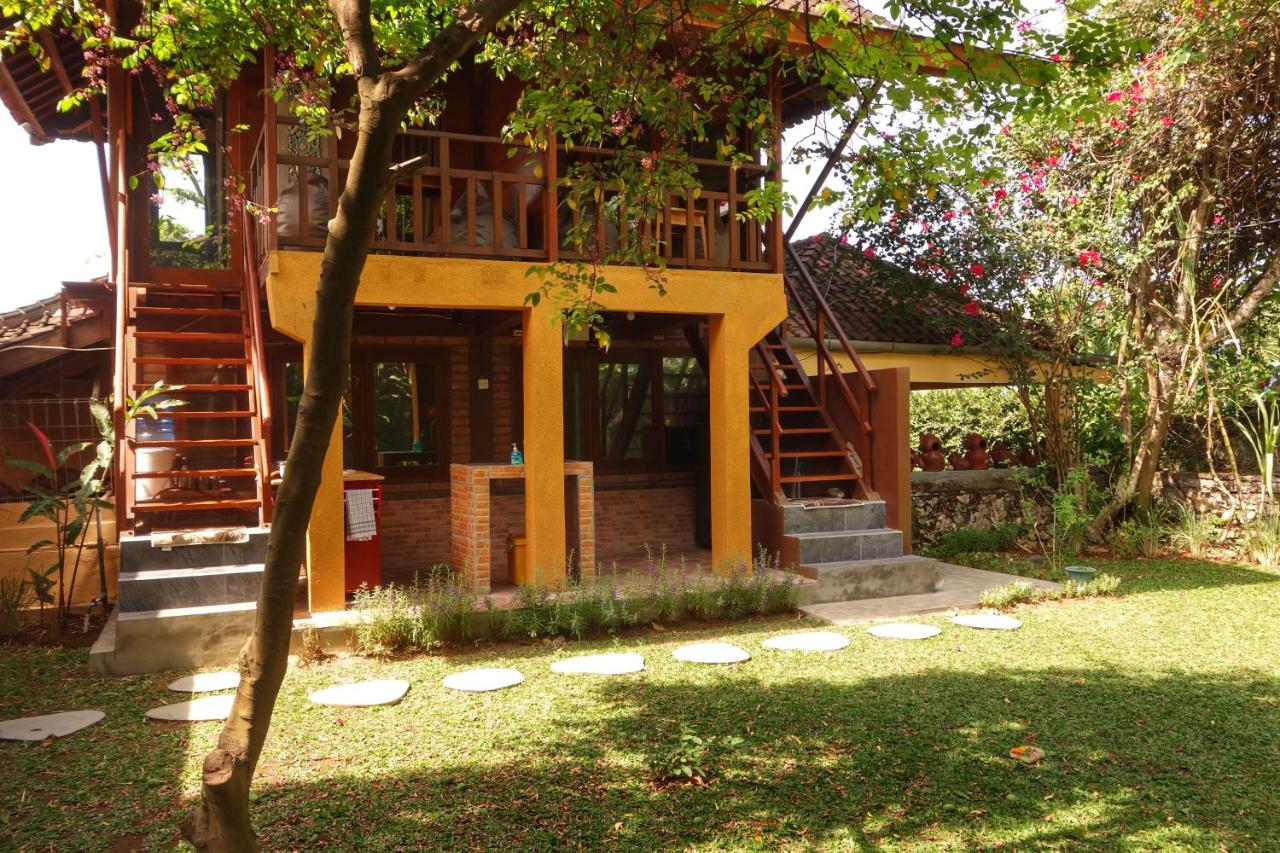 Petit Tree - B&B