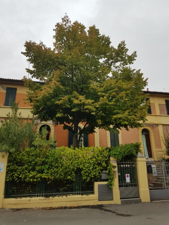 Stella del Mar - Ferienwohnung
