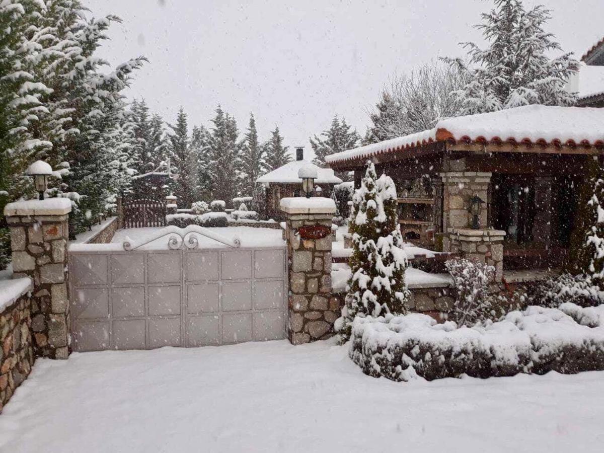 villa in Parnassos - B&B